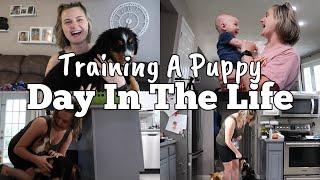 DAY IN THE LIFE WITH A PUPPY IN TRAINING | JUGBOW | MOM OF 4 DAY IN THE LIFE VLOG | MEGA MOM