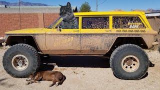 Shauna the cat helps with the new wrecker build