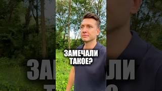 Важное наблюдение