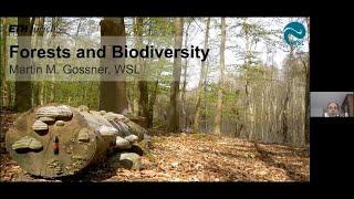 Martin Gossner: Forests and Biodiversity