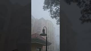 Foggy Morning, Baguio #shorts