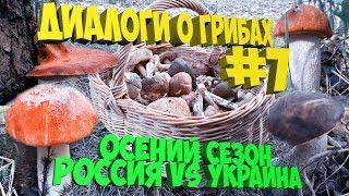 ДИАЛОГИ О ГРИБАХ#7 | ОСЕННИЕ ГРИБЫ РОССИИ И УКРАИНЫ | В ГОСТЯХ УКРАИНСКИЙ БЛОГЕР