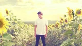 MARK DANN - SUNFLOWERS feat. Lucius Szikora (Official audio)