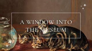 Classical Paintings With Cats 6 unique fine art paintings screensaver background wallpaper HD 1080p