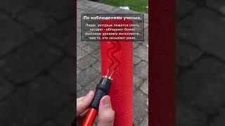 Подпишись! Новые факты каждый день #интересно#интересныефакты #факты#история#шок#развитие#shorts