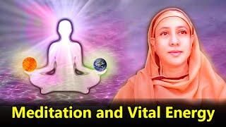 Meditation and Vital Energy - Pravrajika Divyanandaprana