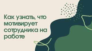 Мотивация персонала | Как узнать, что мотивирует ваших сотрудников | 5 рабочих мотивов