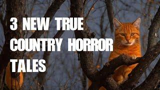 Three New True Country Horror Tales