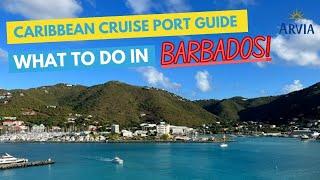 The Ultimate Caribbean Cruise Port Guide -What to do in Barbados -