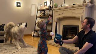 Adorable Baby Boy Plays Ball With His Dog! He’s So Hyper!!