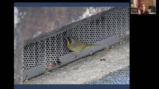 Patch Birding Presentation by Heather Wolf; Birder, Author and photographer.