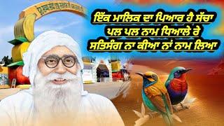 Ik Malik Da Pyar Hai Sacha|Dera Sacha Sauda Shabad Old|Dera Sacha Sauda Bhajan|Dss Shabad Vani #msg