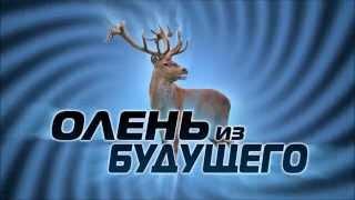 Олень из будущего!