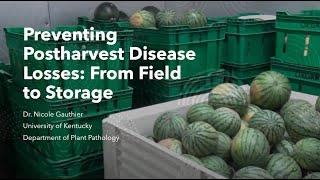 Preventing Postharvest Disease Losses: From Field to Storage