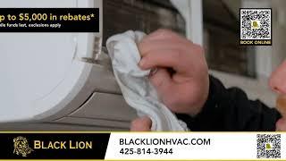 Black Lion Heat Pump Rebates Up To $5,000 #hvac #heatpump