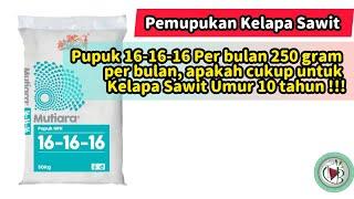 Pupuk 16-16-16 Per bulan 250 gram per bulan, apakah cukup untuk Kelapa Sawit Umur 10 tahun !!!