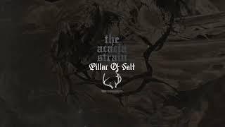 The Acacia Strain - pillar of salt (feat. dylan walker and iRis.EXE) (Visualizer)
