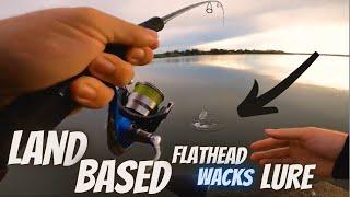 Big flathead smash’s fishing lure land based