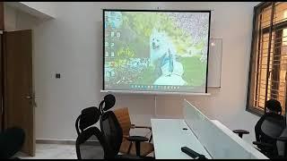 Regular Projector with Medium Projector Screen for Office Use