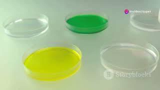 Color Lockdown: The Science of Dye fixing agent @Molecular Matters: Textiles#Chemistry#Curiosity