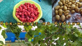 Как живут на Кубани, жизнь на юге.