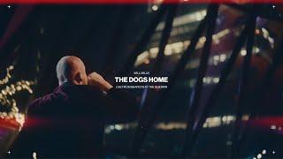 Will Mills – The Dogs Home: Live from Searcys at The Gherkin | Nikon Z6 Cineprint16