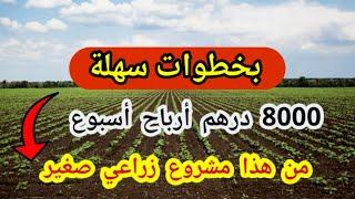 بخطوات سهلة كاملة أرباح 8000 درهم من هذا مشروع زراعي صغير في أسبوع