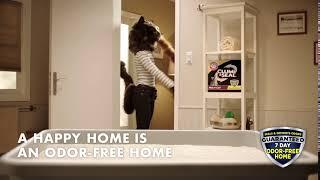 Happy Home | ARM & HAMMER Clump & Seal Cat Litter