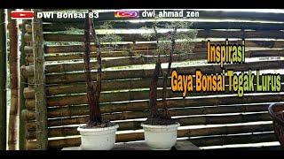 Inspirasi Gaya Bonsai Tegak Lurus