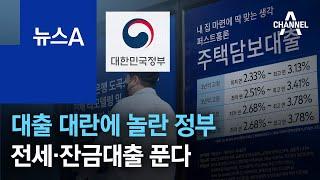 대출 대란에 놀란 정부, 중단됐던 전세·잔금대출 푼다