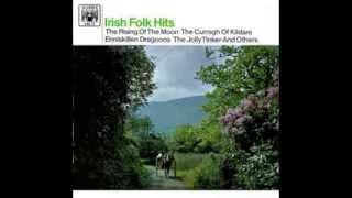 Various Artists - Irish Folk Hits