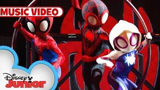 Spin Spin Spin Disney Junior LIVE On Tour | Marvel's Spidey and his Amazing Friends | @disneyjunior