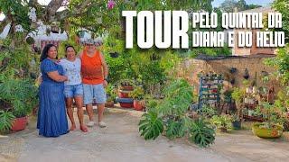 TOUR PELO QUINTAL DA DIANA E DO HÉLIO: PLANTAS DE SOMBRA E SOL PLENO| COSTELA DE ADÃO, CACTOS E MAIS