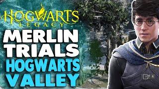 Hogwarts Legacy - Merlin Trials in HOGWARTS VALLEY (Merlin's Beard Trophy)