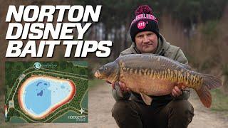 Winter Bait Tips For Norton Disney | Carp Fishing