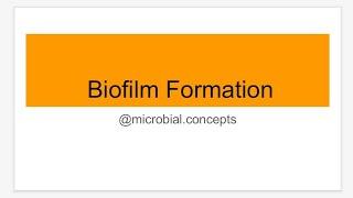 #Biofilm BIOFILM FORMATION | Microbiology