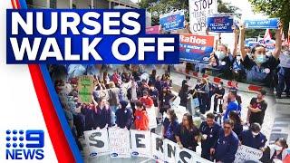 NSW nurses demand increased staff ratios, pay as 24-hour strike chaos continues | 9 News Australia