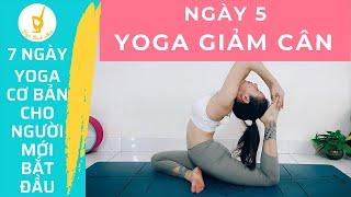 NGÀY 5: YOGA GIẢM CÂN | ĐỐT MỠ TOÀN THÂN | 7 NGÀY - YOGA CƠ BẢN CHO NGƯỜI MỚI BẮT ĐẦU | THANH NHÀN