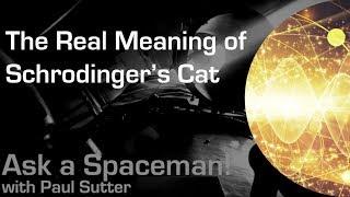 The Real Meaning of Schrodinger's Cat - Ask a Spaceman!