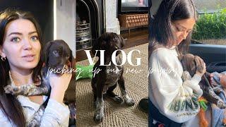 PICKING UP OUR NEW PUPPY! | VLOG