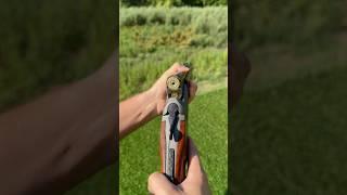 Blaser BBF 95 Review