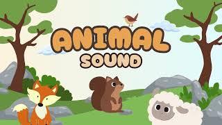 Animal Sound in Nature - Cat, Cow, Horse, Lion, Wolf, Duck ...... | Animals Moment