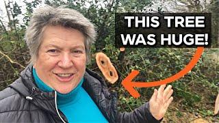 Amazing Gift in the Garden | Clearing Storm Damaged Tree