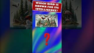 GK Question- most intelligent bird ? | #BrainBytesGK #shorts #gk