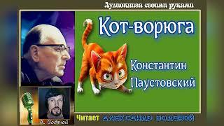 К. Паустовский. Кот-ворюга - чит. Александр Водяной