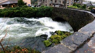 Kayaking the River Leven (Medium Level)