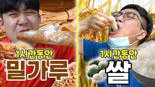 1시간동안 살찌기 대결!! 밀가루 vs 쌀, 어떤 음식이 살이 많이 찔까..?! [1시간 챌린지]