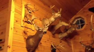 My brothers hunting man cave