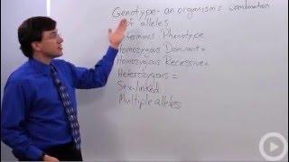 Genotype