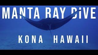 Manta Ray Dive Kona, Hawaii  | Kona Honu Divers